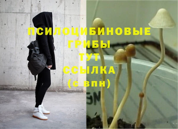 эйфоретик Верхний Тагил
